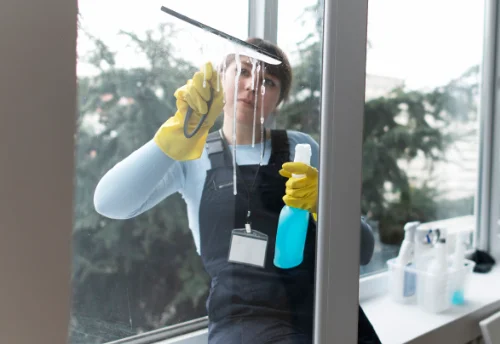 Nettoyage de vitres intérieures et extérieures à Velzic